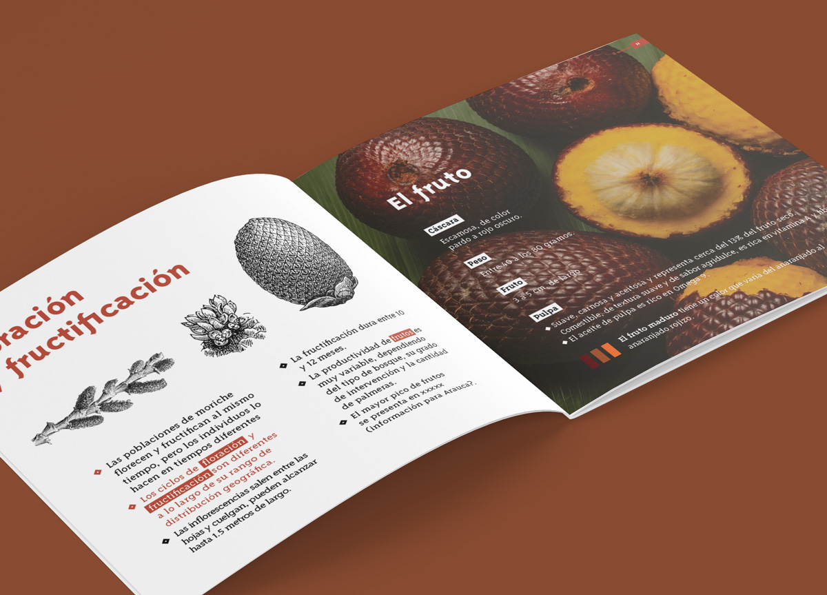 diamarillo-prismaplantae