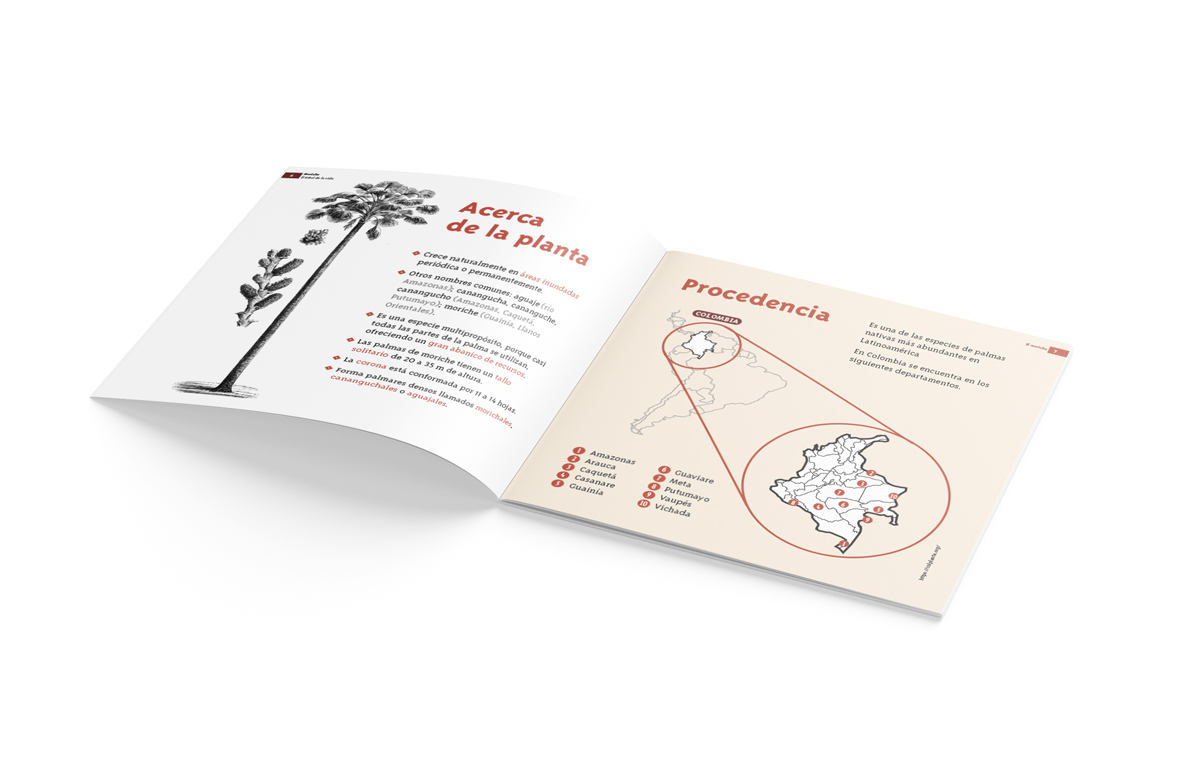 diamarillo-prismaplantae